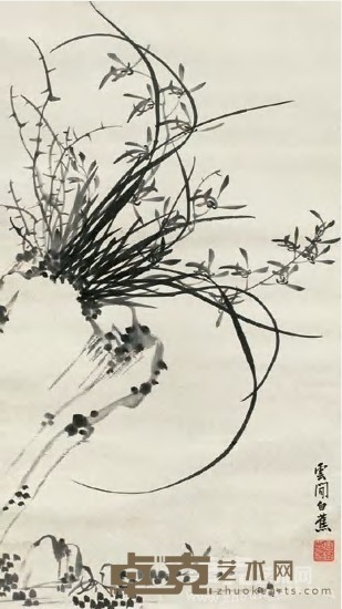白蕉 兰花 立轴 66×33cm