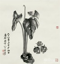 张大千 芋头 镜心