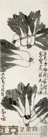 李苦禅 1940年作 白菜 镜心 64×33cm
