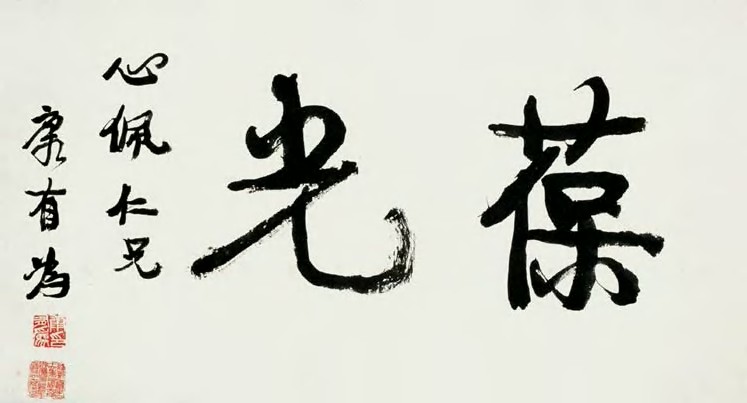 康有为 行书 立轴38×70.5cm