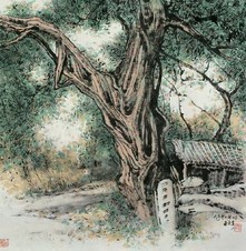 王琦 百年古杉 镜心