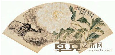张大壮 壬寅（1962）年作 白牡丹图 扇面 19×50cm