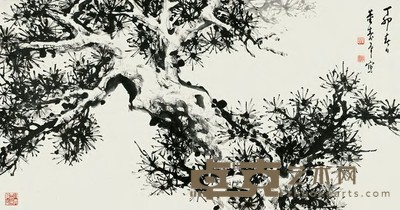 吴团良 骆驼 镜心 42×48cm
