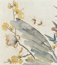 无款 花虫 镜心