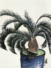 王个簃 铁树 立轴