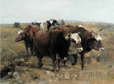 杨克山 秋天的牛群 68×90cm