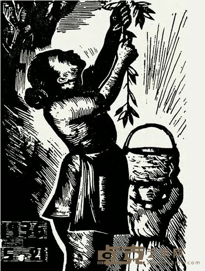 力群 1936年作 采叶 13.9×9.6cm