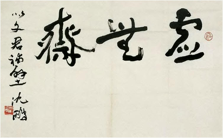 沈鹏 虚无斋 镜心67×42cm