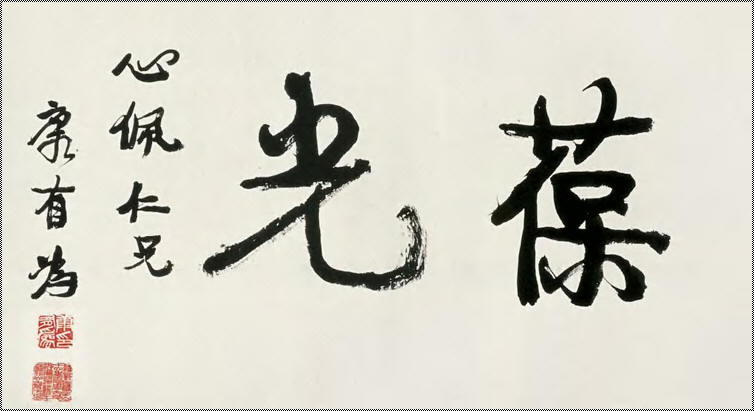 康有为 书法 立轴38×70cm