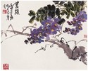 张雷平 紫藤图 斗方