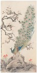 沈一斋 辛巳（1941年）作 孔雀玉兰 立轴