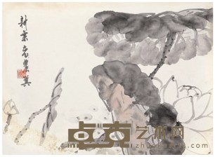 郑箕 荷花 31.5×42.5cm