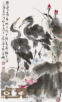 康宁 荷花鹭鸶 80×51cm