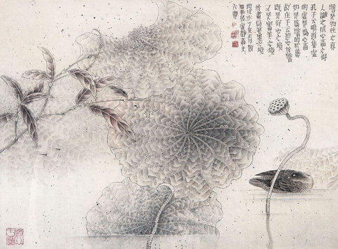 孔六庆  工笔荷花