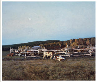 崔开玺 1997年作 牧场100×120cm