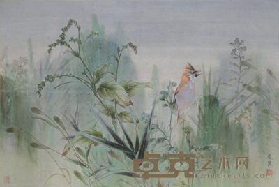 张晓星  花鸟 45×66cm