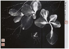 郎静山 FLOWERS