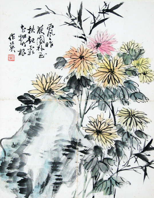 蒲华 花卉