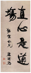 康有为 行书禅偈 镜心103×42.5cm