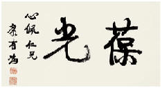 康有为 行书横幅“葆光” 横幅38×70cm