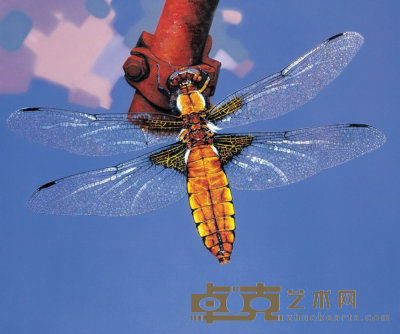 蜻蜓 2002 150×180cm 