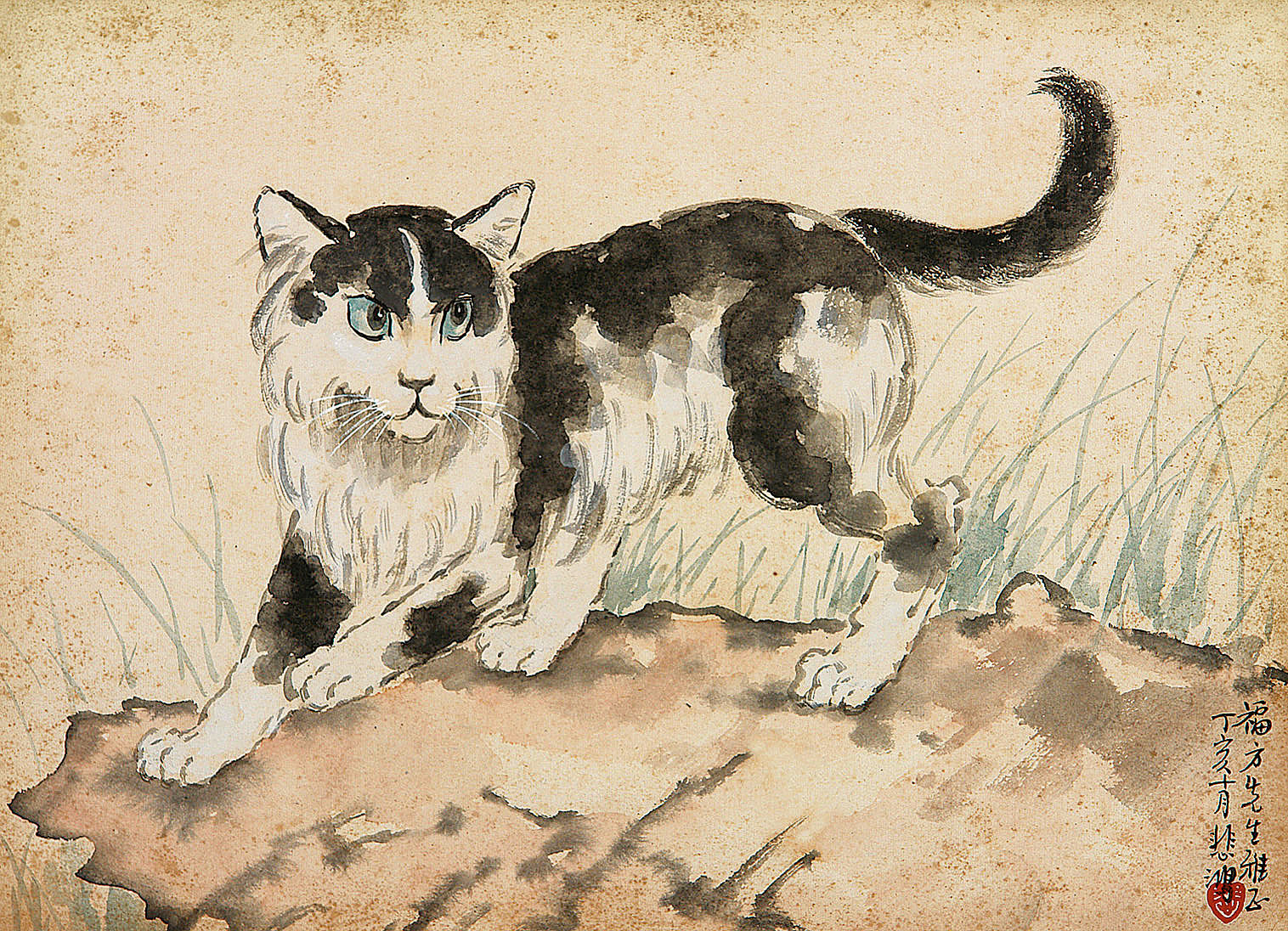 猫  镜心29×40 cm