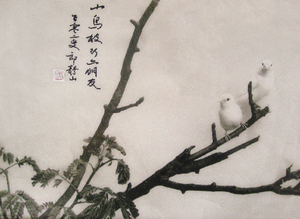 郎静山  枝头小鸟