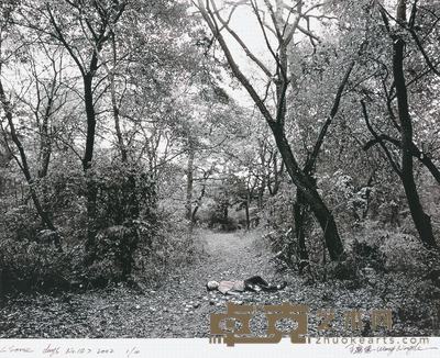 王宁德 2002年作 SOME DAY 40×50cm