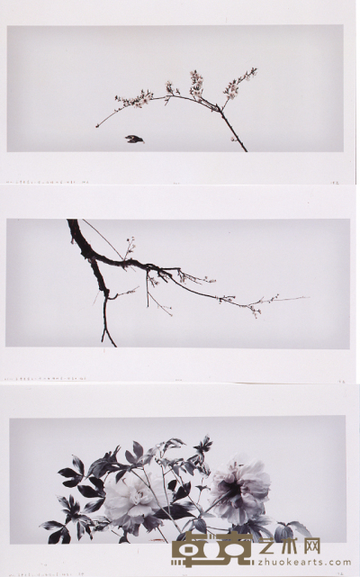 我梦见蒙元入侵江南后的第一个春天（桃花、芍药、梅花）（8/10）（三幅） 38×100cm×3