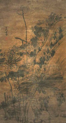 荷花