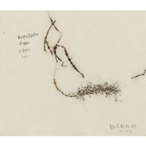 蔡国强 Explosion Start From Sky （Drawing for Dragon or Rainbow Serpent：A Myth Glori19 by 23 1/2 in. 48 by 60 cm