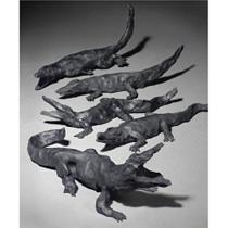 蔡国强 Untitled （five parts）