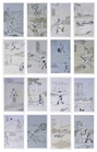 张洹 2005年作 软硬功夫（共十六件）