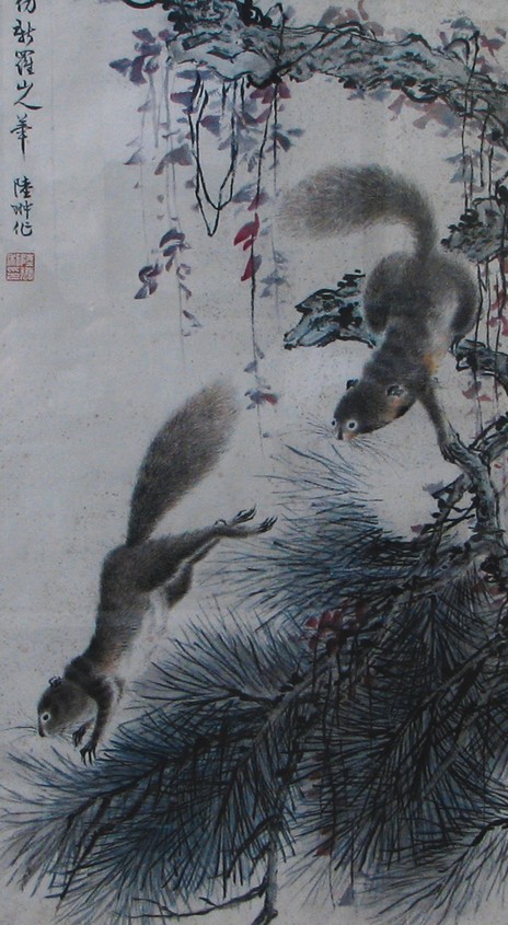 松鼠