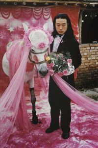 WANG JIN   To Marry a Mule, 1995