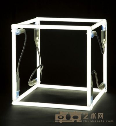 Neon Cube, 2006 11 7/8 x 11 7/8 x 11 7/8 in. (30 x 30 x 30 cm).