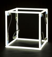 Neon Cube, 2006
