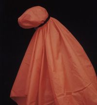 Collared Orange, 1989