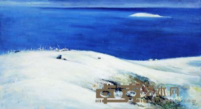 苏天赐 1995年作 雪韵 60×110cm