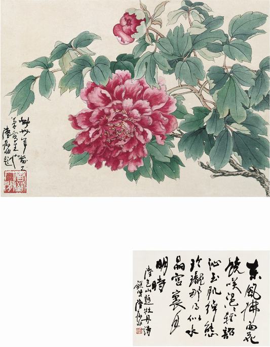 陆抑非   牡丹图