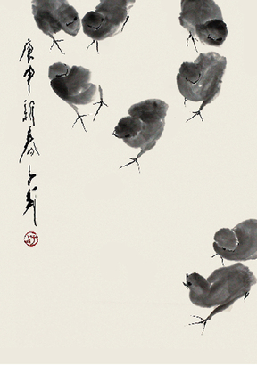 王子武  鸡
