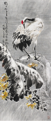 康宁     鸡