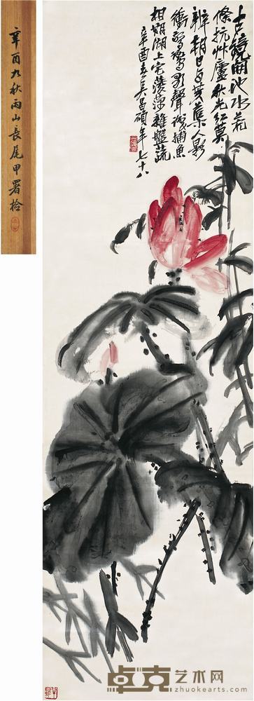 吴昌硕（1844～1927）荷花图立轴 136×41cm
