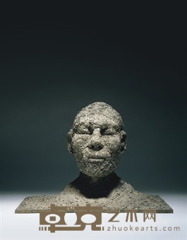 张洹 Ash Head 38.5×54×39cm