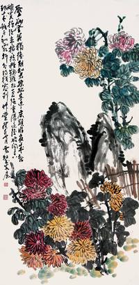 菊石图
