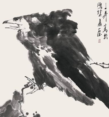 鹰