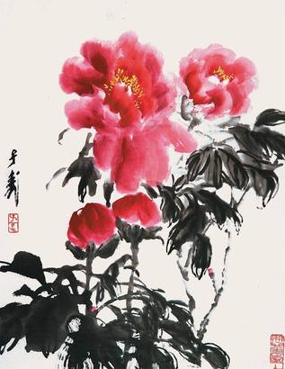 富贵牡丹