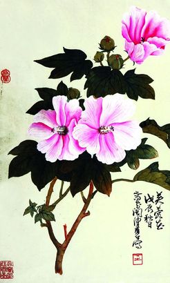 芙蓉花