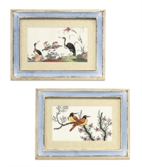 A SET OF TWELVE CHINESE RICE-PAPER PAINTINGS OF EXOTIC BIRDS