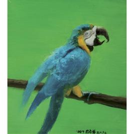 周春芽 Parrot